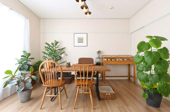 高崎の当たる人気の占い Palm&Lines(パーム アンド ラインズ)の画像
