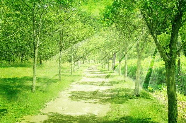 山口の当たる占い 中央運命学カウンセリングの木本題三武(きもといさむ)先生の画像
