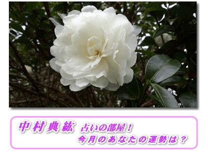 静岡の当たる占い 中村典紘鑑定所の画像