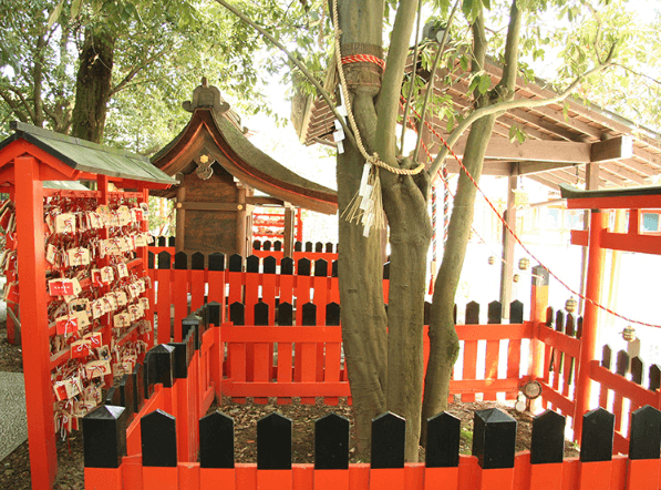 京都 賀茂御祖神社の境内にある連理の堅木