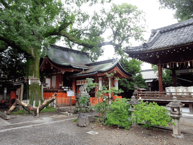 京都 武信稲荷神社のパワースポット 御神木の榎