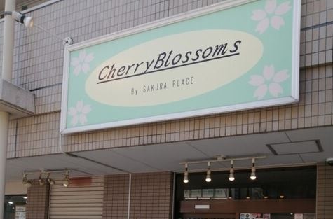 相模原の当たる占い チェリーブロッサムの画像