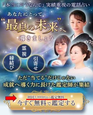 電話占いニーケの新LP画像
