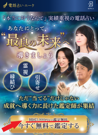 電話占いニーケLP