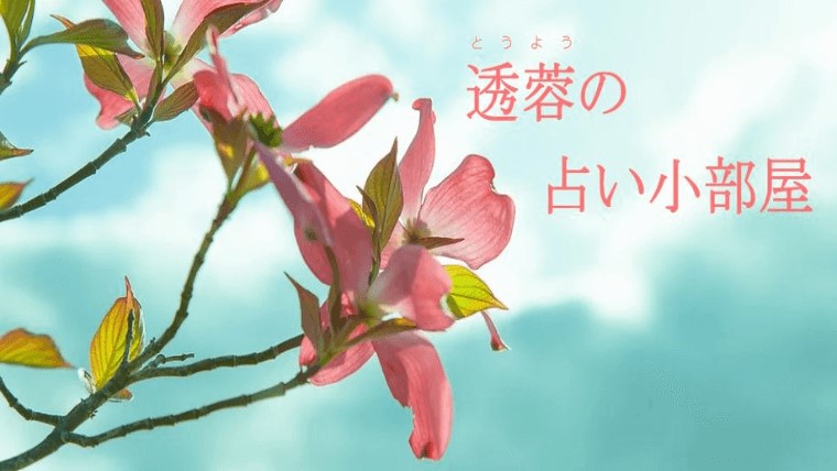 津山の当たる占い 透蓉(とうよう)の占い小部屋の画像