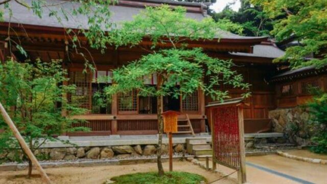 竈門神社 〈再会(サイカチ)の木〉