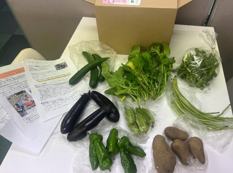 RisingGroup合同会社の取り組み 第3回 野菜を食べる習慣づくりデーで従業員に無償提供した新鮮な国産野菜